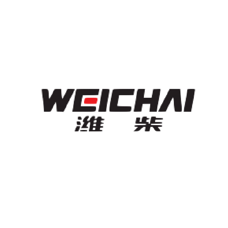 Weichai Piston 13020377  - copy