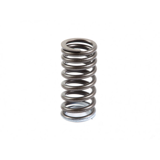 CUMMINS K19 Valve Spring 3633840